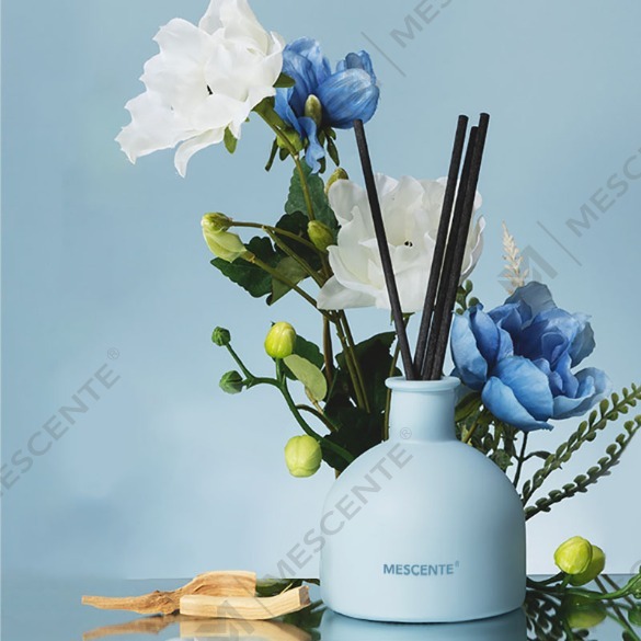Effectus utendi Aroma Reed Difusores