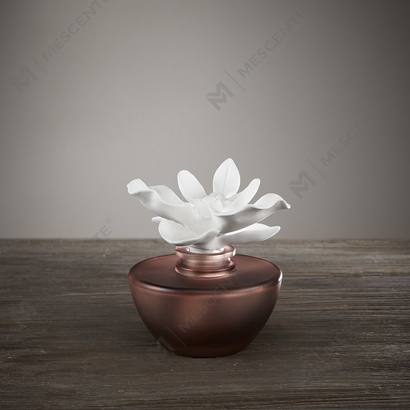Flos Albus Mini Unguentum Aroma Reed Diffuser Oleum, Odorem Thailand Reed Diffusores Donum Set