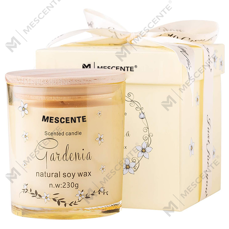 M&Solent Handmade Luxuria Vitri Holder Spiritual Ceramics Columna Vanilla Candelam odorata cum crystallis