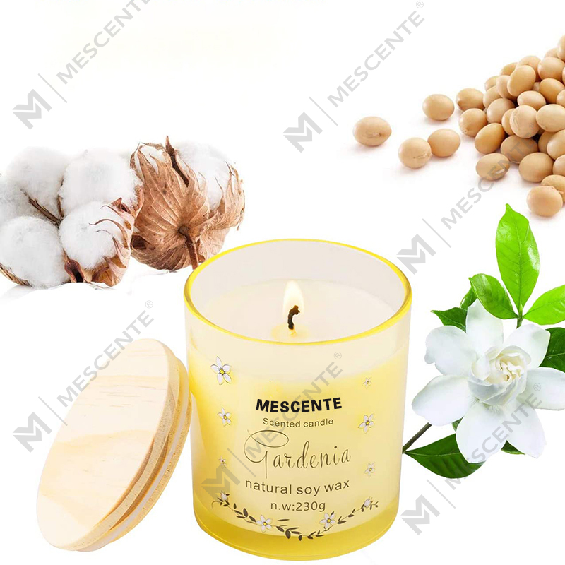 M&Solent Handmade Luxuria Vitri Holder Spiritual Ceramics Columna Vanilla Candelam odorata cum crystallis