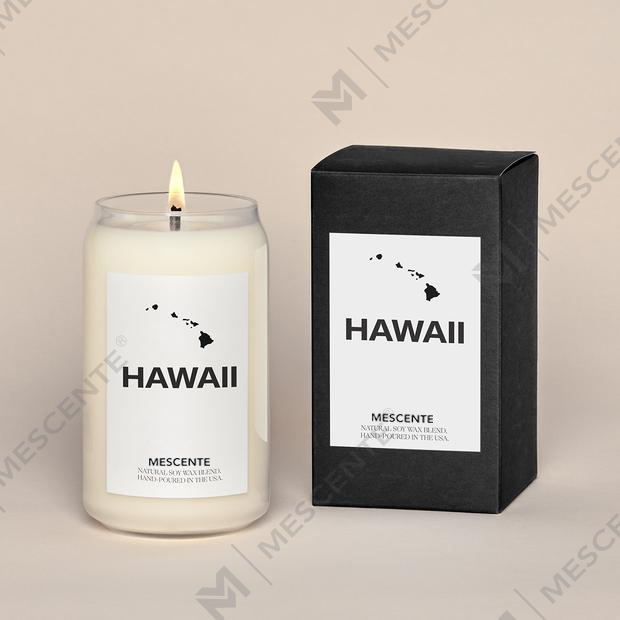 M&Solent Organic customized Ceramic lactea Woodwick Candles, Candelae continens