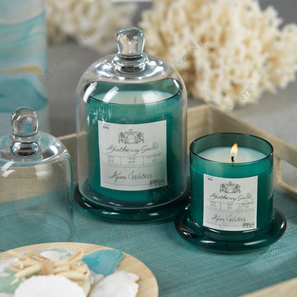 M&Solent Decorative Venereum Nuptialis Bell Jar Glass Dome Cover Candle odorata A29275