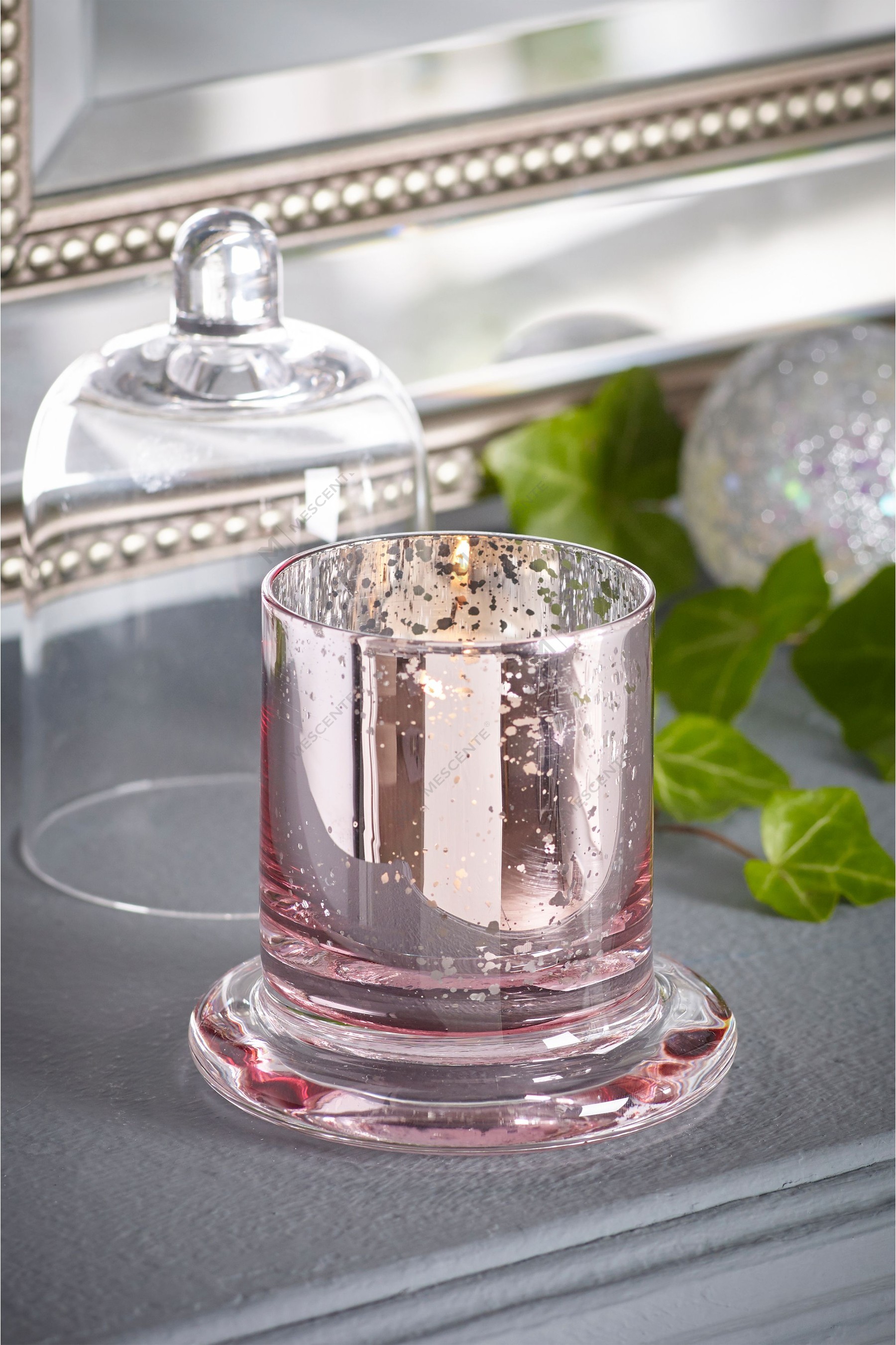 Mescente Luxuria Silver Domed cover Candle possessor vitrei testudine Jars