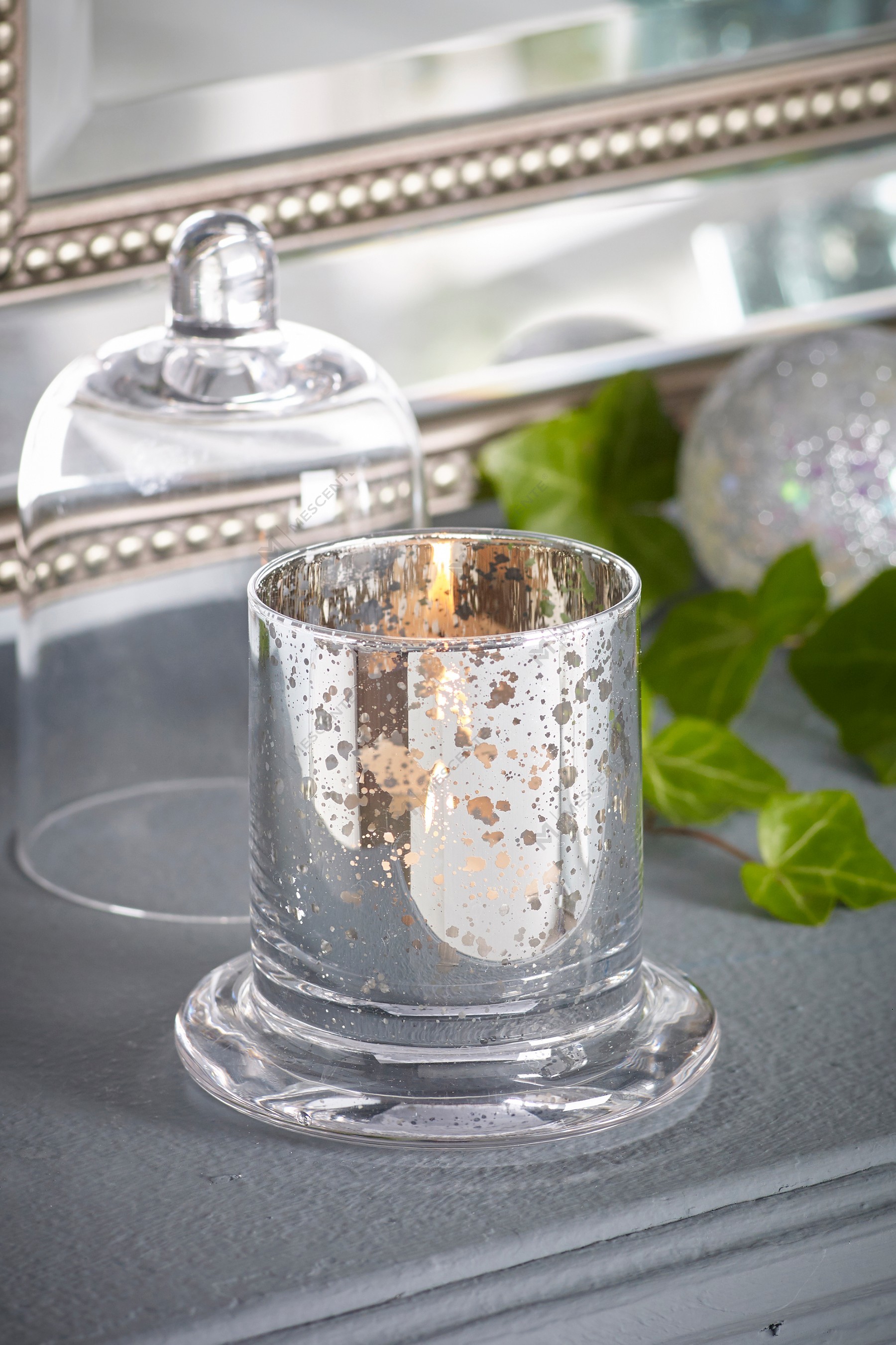 Mescente Luxuria Silver Domed cover Candle possessor vitrei testudine Jars