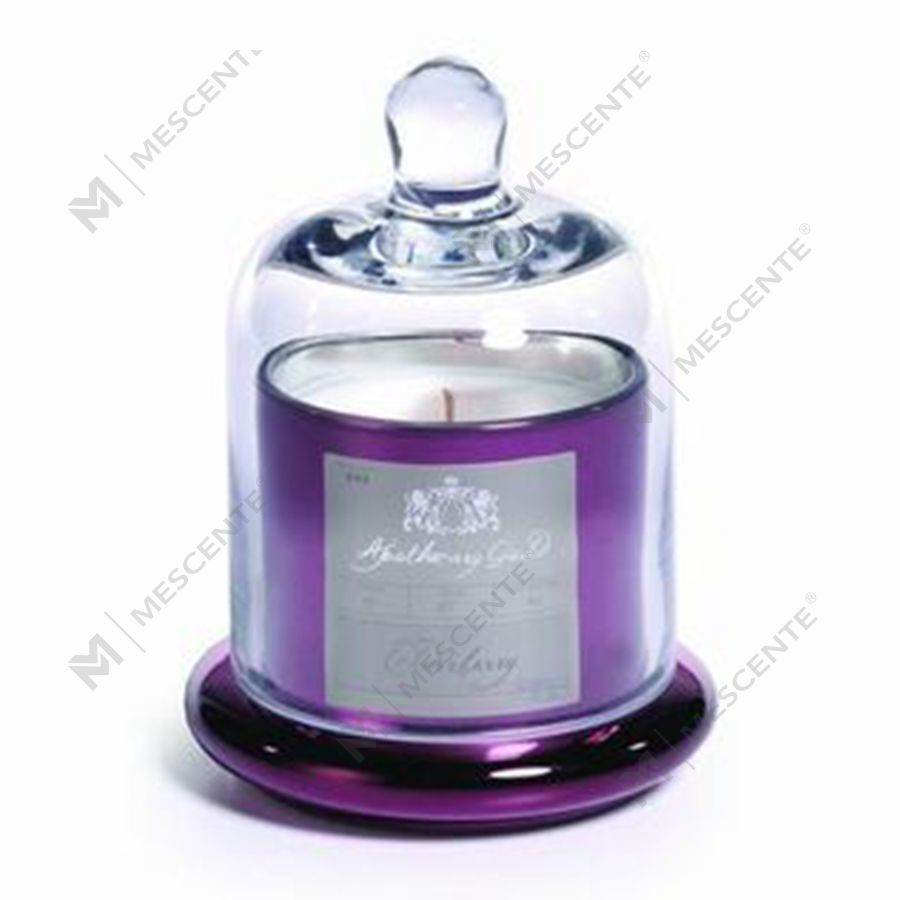 Mescente Luxuria Silver Domed cover Candle possessor vitrei testudine Jars