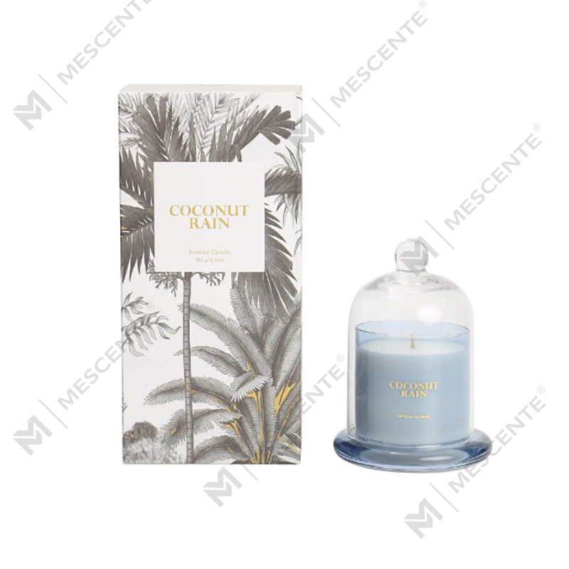 M&Scent Custom Logo Luxuria Boxes Cera 100% Naturalis Mini Domus Candle Gift