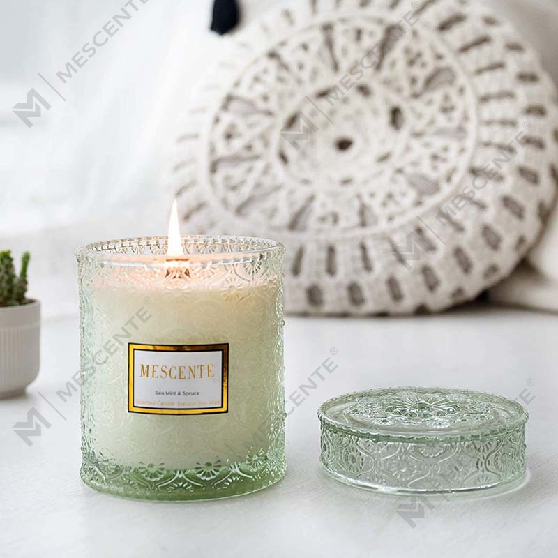 M&S cent Homemade Eucalyptus Spearmint Soy Cera arida flos odoris Spa Candle